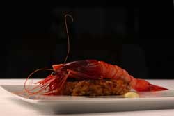 Un plato de Paco Pérez